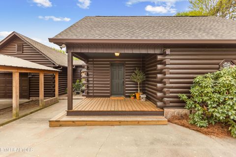 Tiny photo for 284278 Savannah Shores Drive, Delano, TN 37325 (MLS # 1343144)