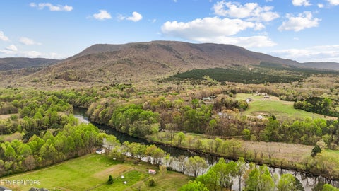 Tiny photo for 284278 Savannah Shores Drive, Delano, TN 37325 (MLS # 1343144)