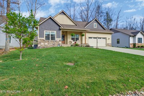 Photo of 228 Thrushwood Drive, Fairfield Glade, TN 38558 (MLS # 1335804)