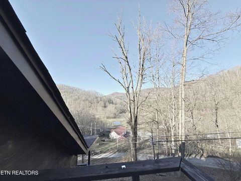 Tiny photo for 130 Fellowship Lane, Caryville, TN 37714 (MLS # 1326389)