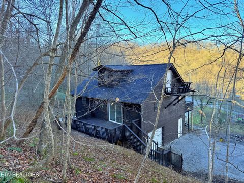 Tiny photo for 130 Fellowship Lane, Caryville, TN 37714 (MLS # 1326389)