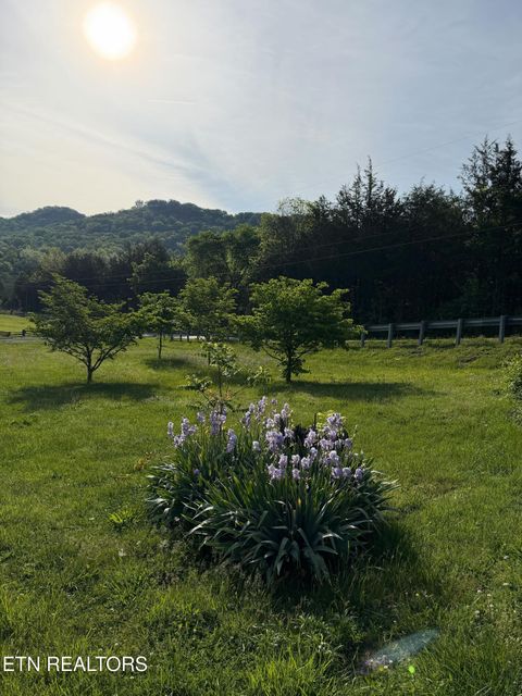 Tiny photo for 912 Raccoon Valley Rd, Maynardville, TN 37807 (MLS # 1338575)