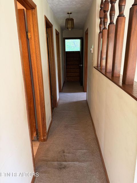 Tiny photo for 912 Raccoon Valley Rd, Maynardville, TN 37807 (MLS # 1338575)