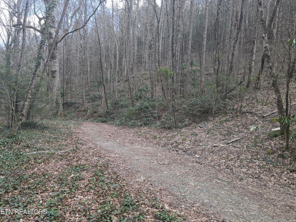 Photo of 2 Briar Branch Rd, Townsend, TN 37882 (MLS # 1256197)