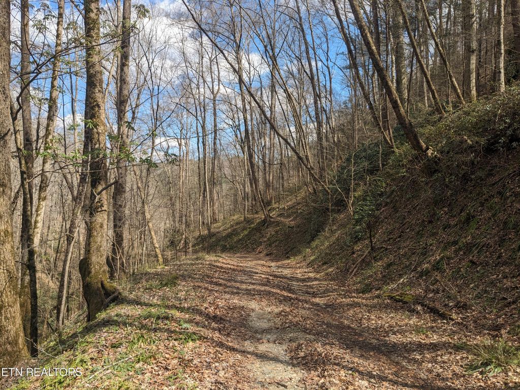 Photo of 2 Briar Branch Rd, Townsend, TN 37882 (MLS # 1256197)