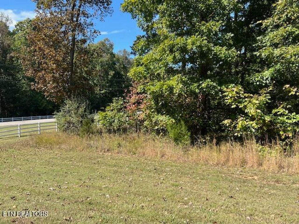 Photo of Appaloosa Trail, Rockwood, TN 37854 (MLS # 1318375)
