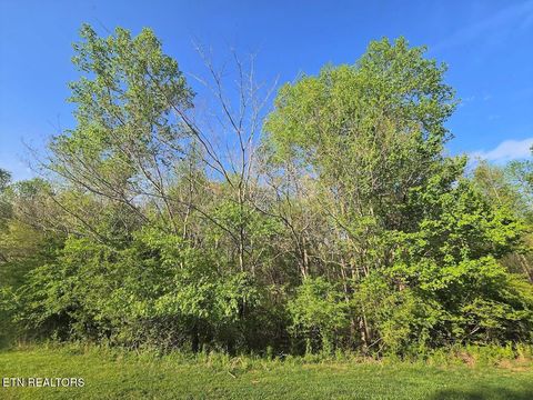 Tiny photo for 30 Indigo Bunting Drive, Harriman, TN 37748 (MLS # 1297967)