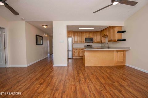 Tiny photo for 905 Ashley Michelle Court, Knoxville, TN 37934 (MLS # 1334530)