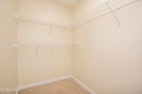 Tiny photo for 905 Ashley Michelle Court, Knoxville, TN 37934 (MLS # 1334530)