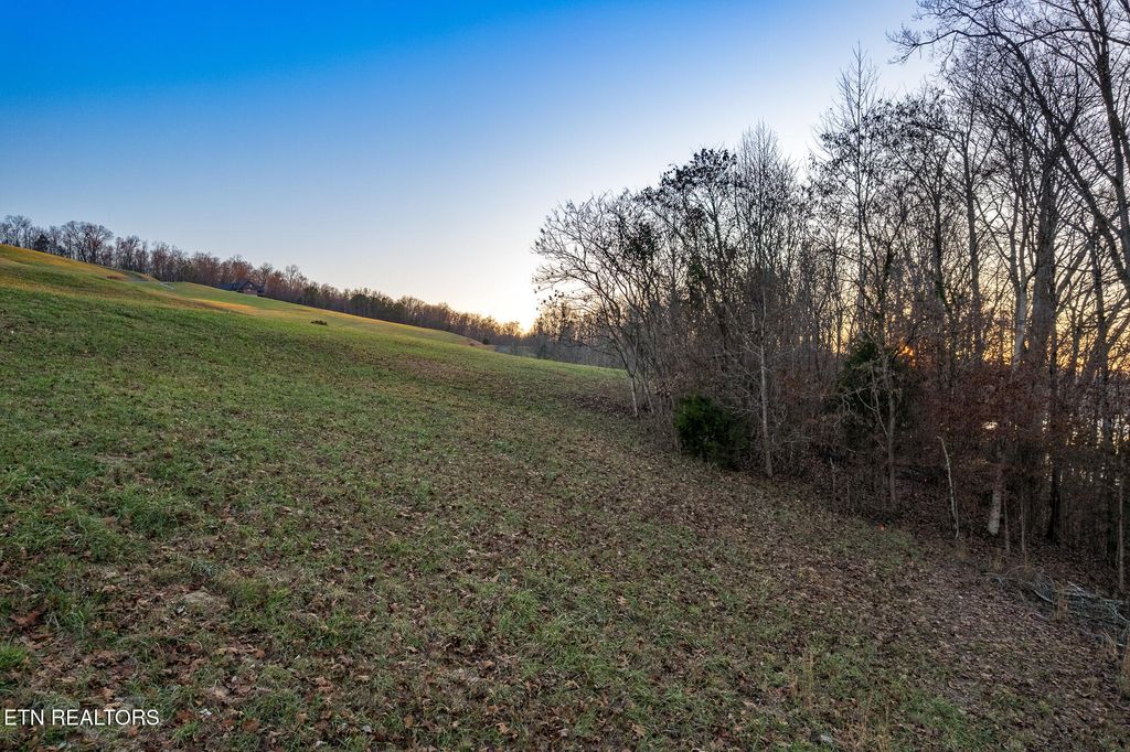 Photo of 24 Mill Drive, Decatur, TN 37322 (MLS # 1323818)