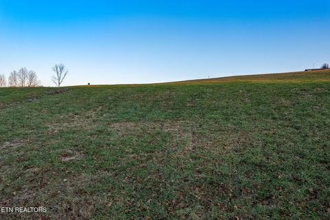 Tiny photo for 24 Mill Drive, Decatur, TN 37322 (MLS # 1323818)