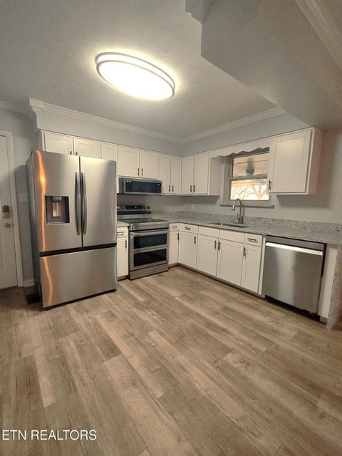 Tiny photo for 2451 Black Oak Rd, Jefferson City, TN 37760 (MLS # 1329681)