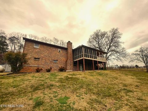 Tiny photo for 2451 Black Oak Rd, Jefferson City, TN 37760 (MLS # 1329681)