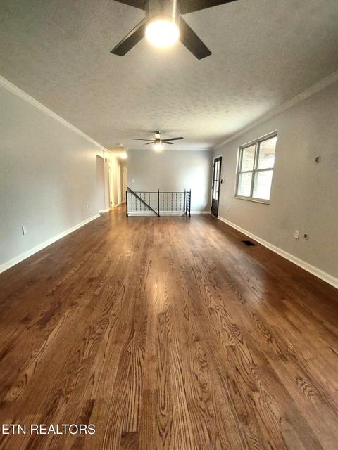 Tiny photo for 2451 Black Oak Rd, Jefferson City, TN 37760 (MLS # 1329681)