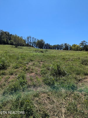 0000 RICHLAND ROAD RD, MASCOT, TN 37806 - Image 9da3a838c7429a2cd87fbab6744405da/3842884128