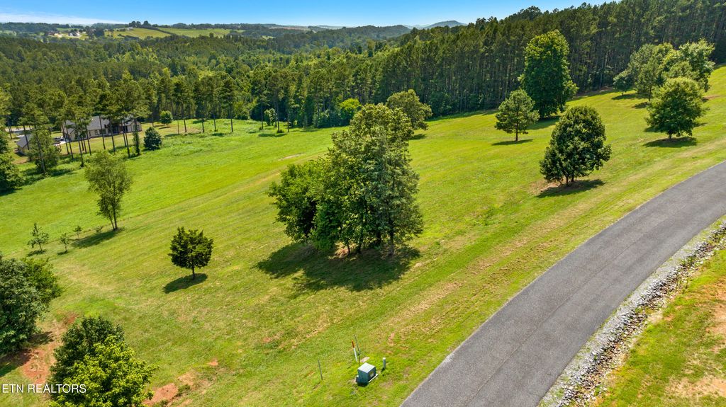 Photo of 141 Overlook Way, Vonore, TN 37885 (MLS # 1305989)