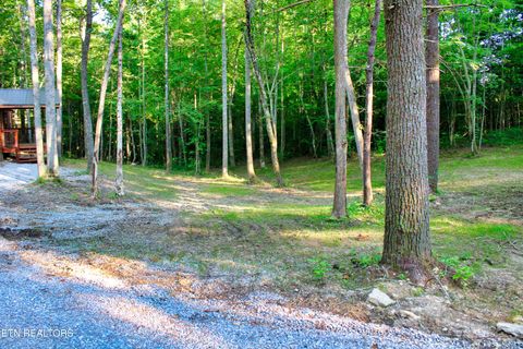 Tiny photo for 137 John Cox Rd, Deer Lodge, TN 37726 (MLS # 1316063)