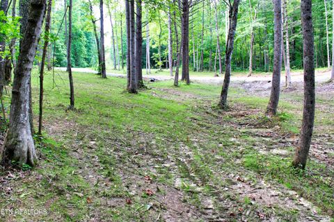 Tiny photo for 137 John Cox Rd, Deer Lodge, TN 37726 (MLS # 1316063)