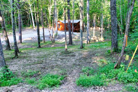 Tiny photo for 137 John Cox Rd, Deer Lodge, TN 37726 (MLS # 1316063)