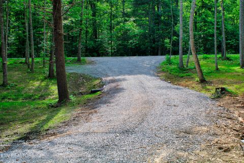 Tiny photo for 137 John Cox Rd, Deer Lodge, TN 37726 (MLS # 1316063)