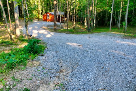 Tiny photo for 137 John Cox Rd, Deer Lodge, TN 37726 (MLS # 1316063)