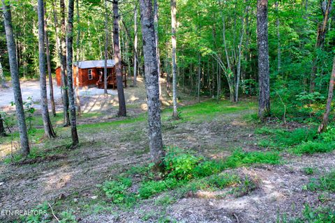 Tiny photo for 137 John Cox Rd, Deer Lodge, TN 37726 (MLS # 1316063)
