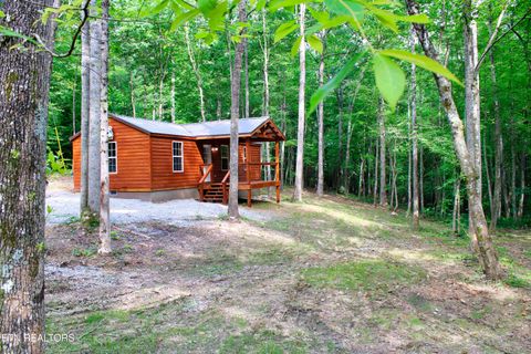 Tiny photo for 137 John Cox Rd, Deer Lodge, TN 37726 (MLS # 1316063)
