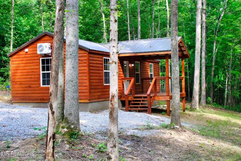 Tiny photo for 137 John Cox Rd, Deer Lodge, TN 37726 (MLS # 1316063)