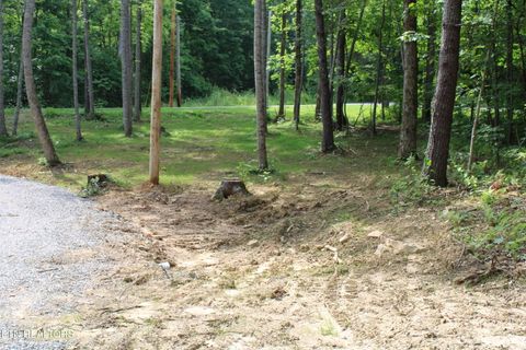 Tiny photo for 137 John Cox Rd, Deer Lodge, TN 37726 (MLS # 1316063)