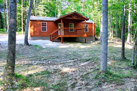 Tiny photo for 137 John Cox Rd, Deer Lodge, TN 37726 (MLS # 1316063)
