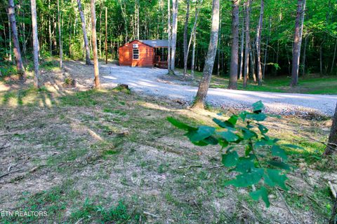 Tiny photo for 137 John Cox Rd, Deer Lodge, TN 37726 (MLS # 1316063)