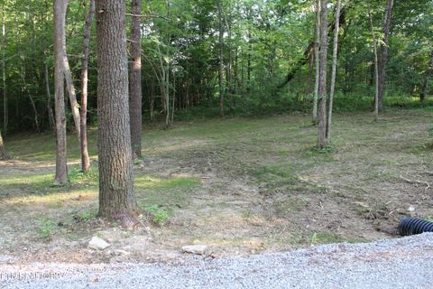 Tiny photo for 137 John Cox Rd, Deer Lodge, TN 37726 (MLS # 1316063)