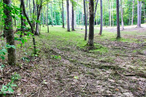 Tiny photo for 137 John Cox Rd, Deer Lodge, TN 37726 (MLS # 1316063)
