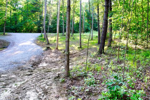 Tiny photo for 137 John Cox Rd, Deer Lodge, TN 37726 (MLS # 1316063)