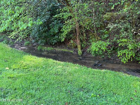 Tiny photo for 1764 Upper Middle Creek Rd, Sevierville, TN 37876 (MLS # 1337244)