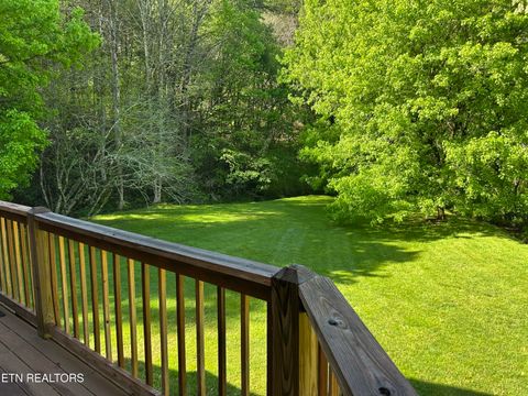 Tiny photo for 1764 Upper Middle Creek Rd, Sevierville, TN 37876 (MLS # 1337244)