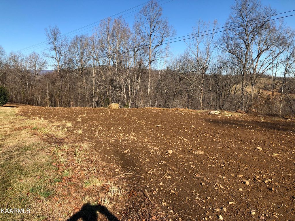 Photo of 3500 Cave Springs Road Rd, Tazewell, TN 37879 (MLS # 1207867)