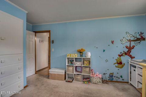 Tiny photo for 410 Douglas Lane, Clinton, TN 37716 (MLS # 1321029)