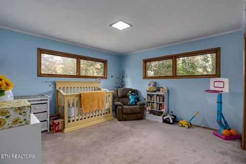 Tiny photo for 410 Douglas Lane, Clinton, TN 37716 (MLS # 1321029)