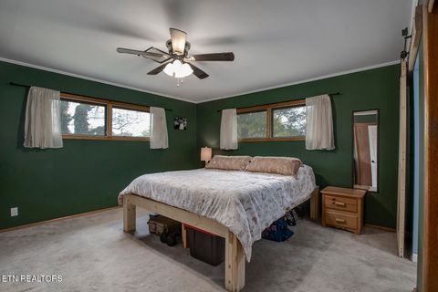 Tiny photo for 410 Douglas Lane, Clinton, TN 37716 (MLS # 1321029)