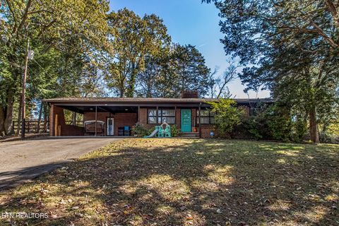 410 Douglas Lane Clinton TN 37716