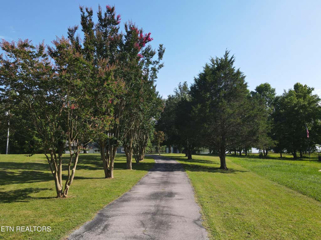Photo of 254 Karen Drive, Spring City, TN 37381 (MLS # 1352943)