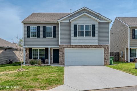 9534 Joy Denise Lane Heiskell TN 37754