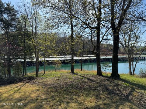 Tiny photo for Antlers Way, LaFollette, TN 37766 (MLS # 1336831)