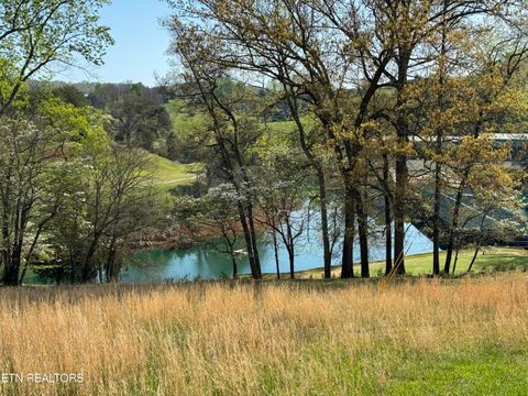 Tiny photo for Antlers Way, LaFollette, TN 37766 (MLS # 1336831)