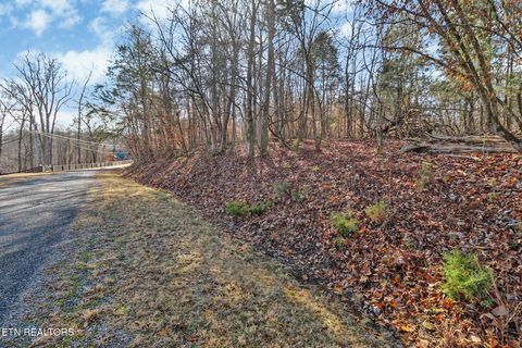 Tiny photo for Red Cloud Lane, Ten Mile, TN 37880 (MLS # 1325492)