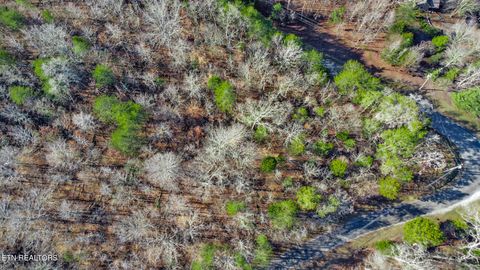 Tiny photo for Red Cloud Lane, Ten Mile, TN 37880 (MLS # 1325492)