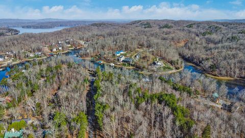 Tiny photo for Red Cloud Lane, Ten Mile, TN 37880 (MLS # 1325492)