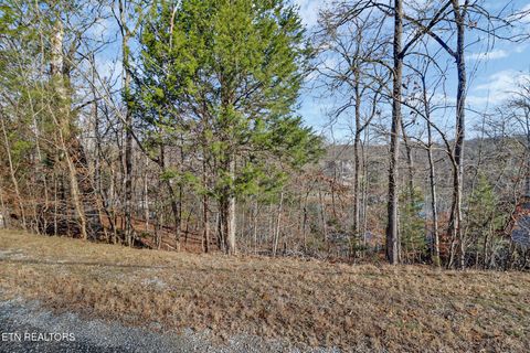 Tiny photo for Red Cloud Lane, Ten Mile, TN 37880 (MLS # 1325492)