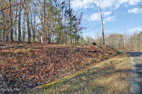 Tiny photo for Red Cloud Lane, Ten Mile, TN 37880 (MLS # 1325492)